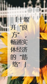 十堰开“良方”，畅通实体经济的“筋络”